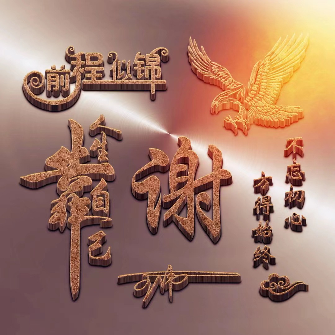 2023你该换微信头像了,40张前程似锦高端金属姓氏头像,有你的吗