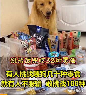 |宠物博主让狗当大胃王，一次吃100种零食！网友：为了卖货不择手段
