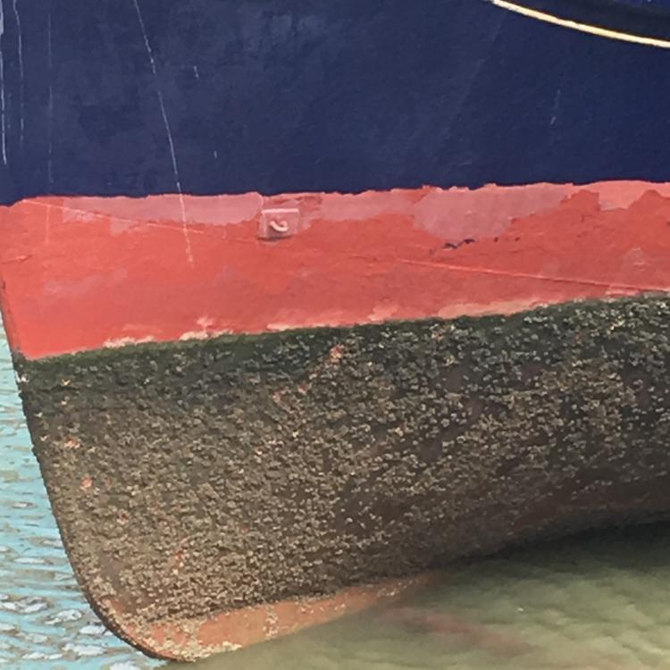 如何应对船底的藤壶