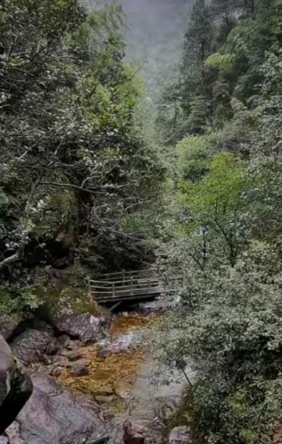 實拍湖南莽山國家森林公園,令無數遊客嚮往