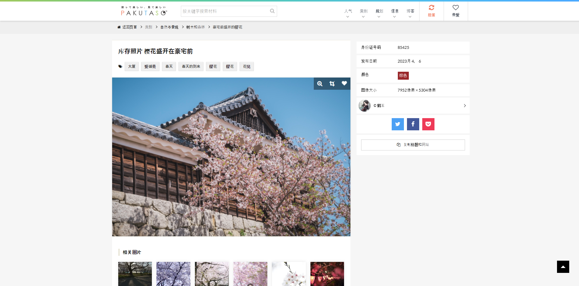 免费制作精简照片的网站 baijiahao.baidu.com