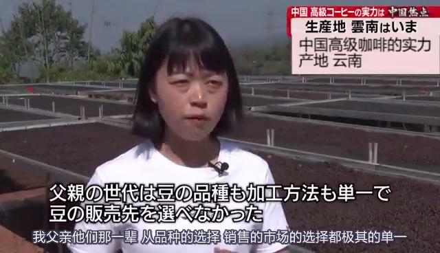 日本东京电视台推出普洱咖啡重磅报道  盛赞普洱咖啡香飘世界