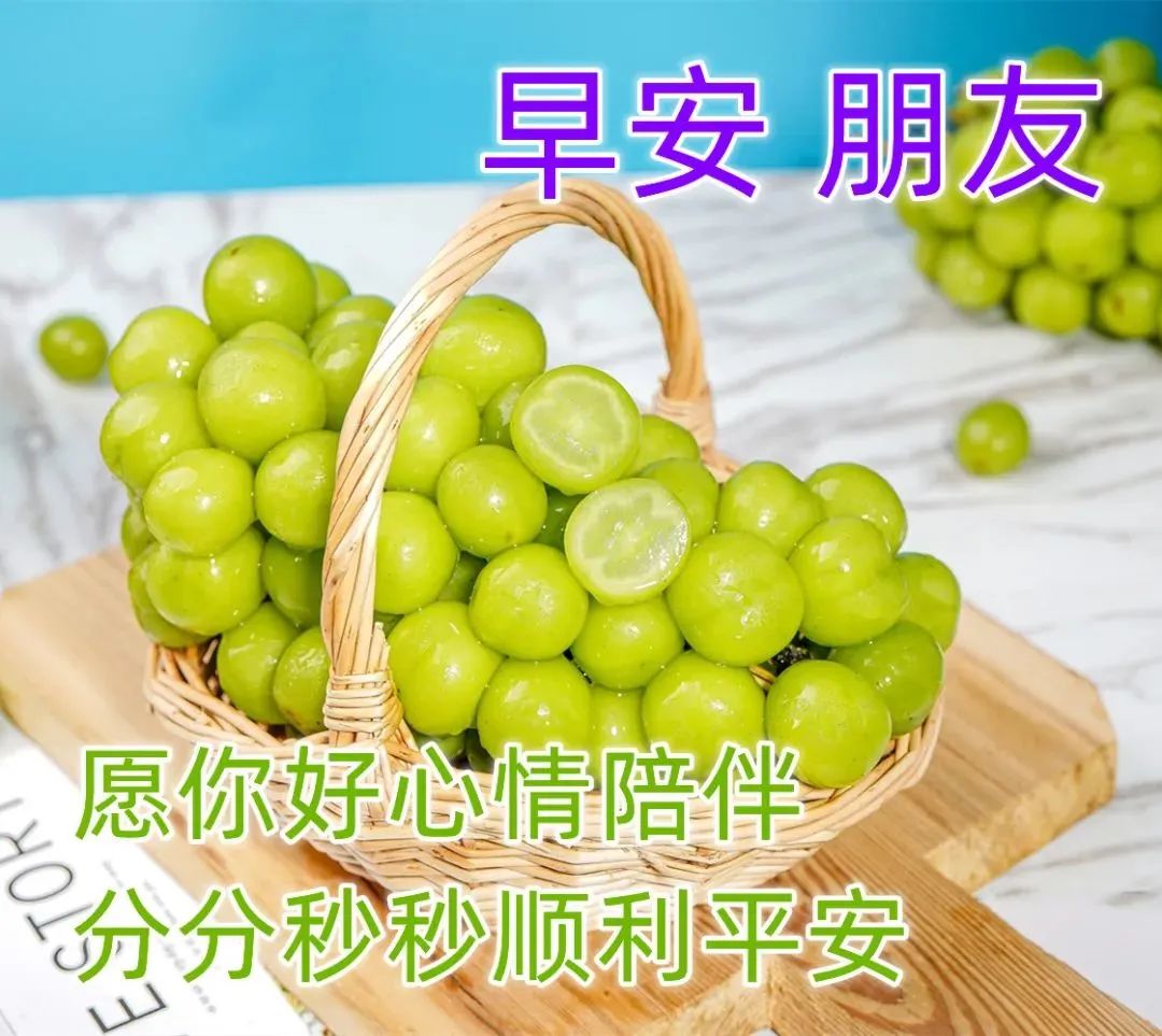 最新版漂亮早安图片鲜花带字