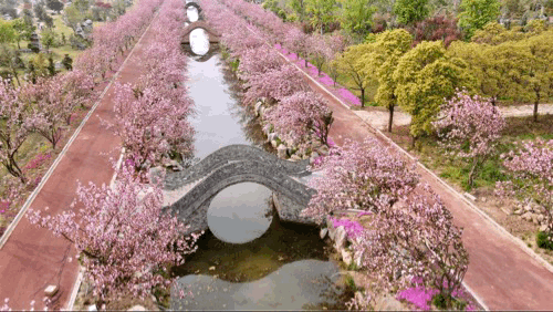 南通新增一个网红景点洲际梦幻岛