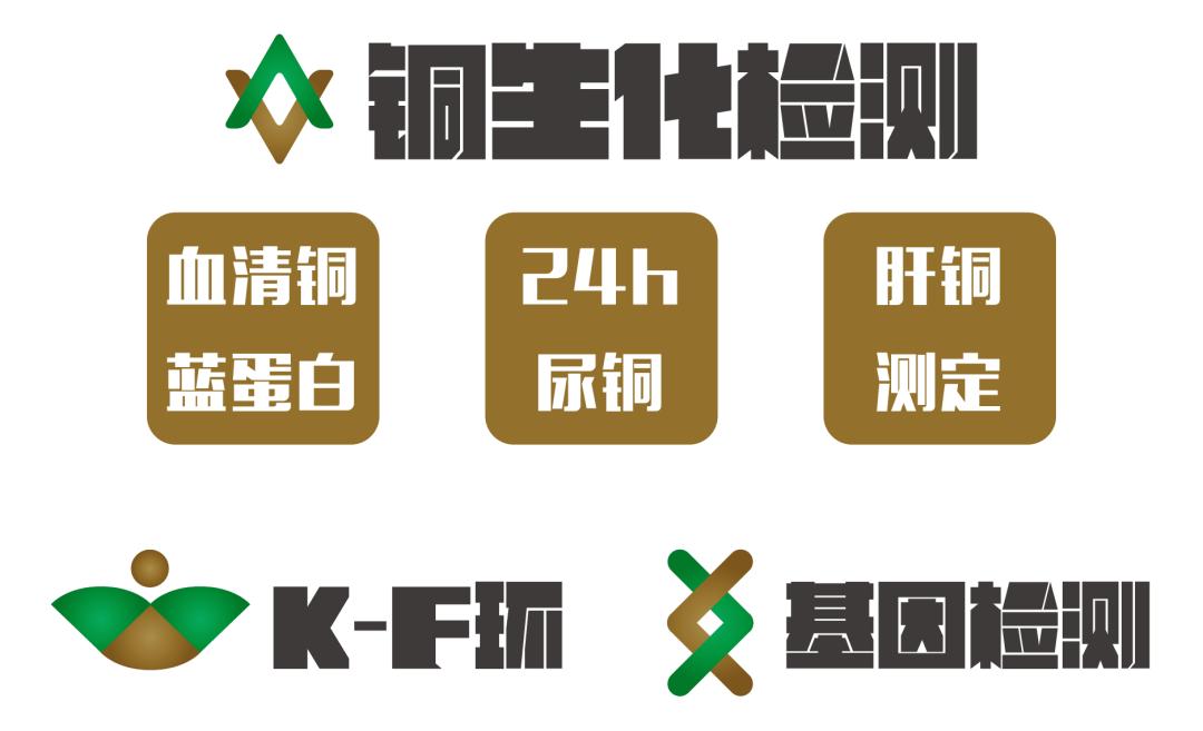 为什么要检查铜蓝蛋白