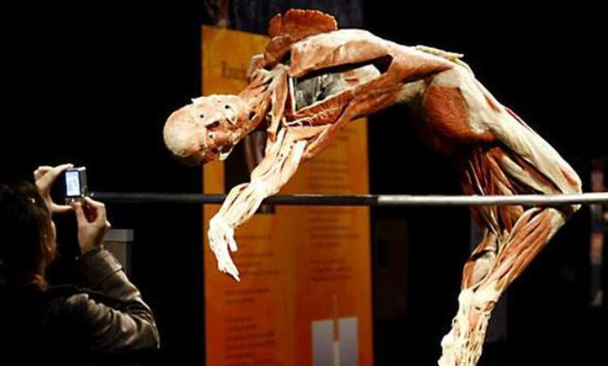 荷兰"重口味"博物馆,内部人体结构逼真,女游客惊恐不敢看
