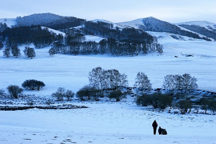 冬季坝上草原银装素裹,一片塞外冰雪世界