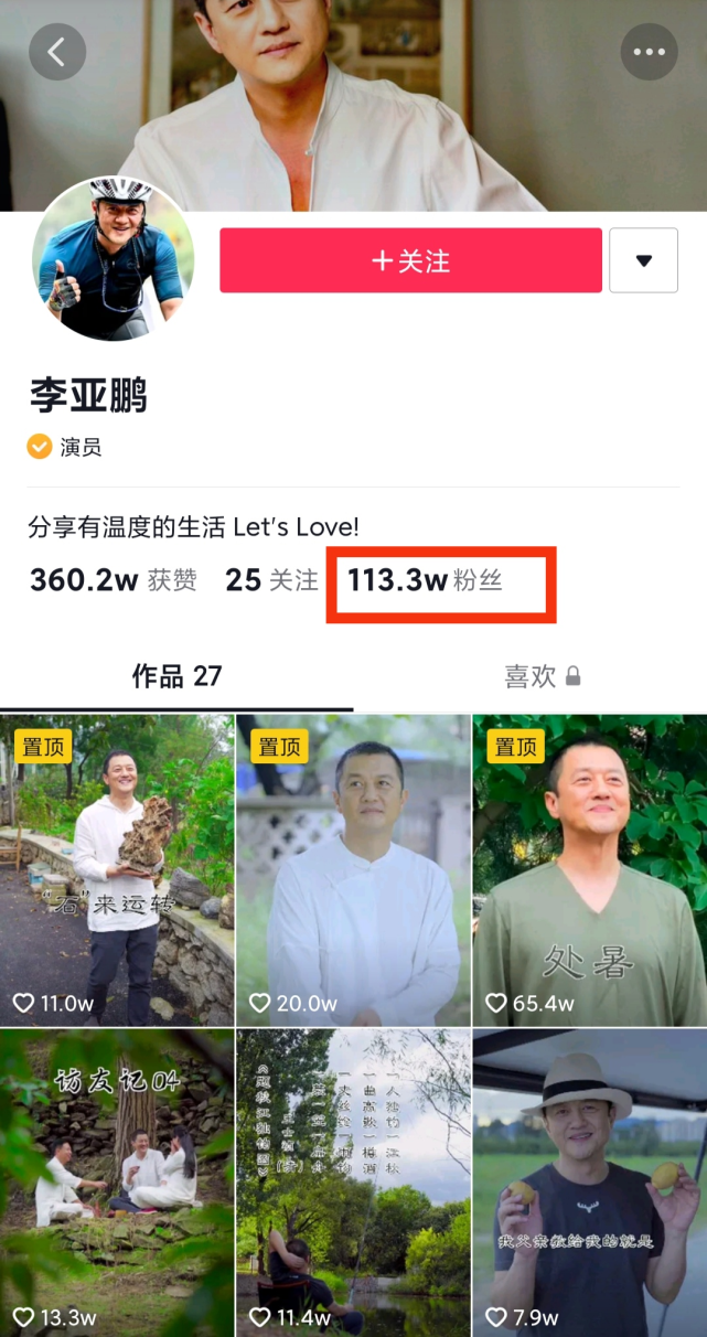 李亚鹏否认挖走李子柒团队,转行做网红数据差,视频被指东施效颦