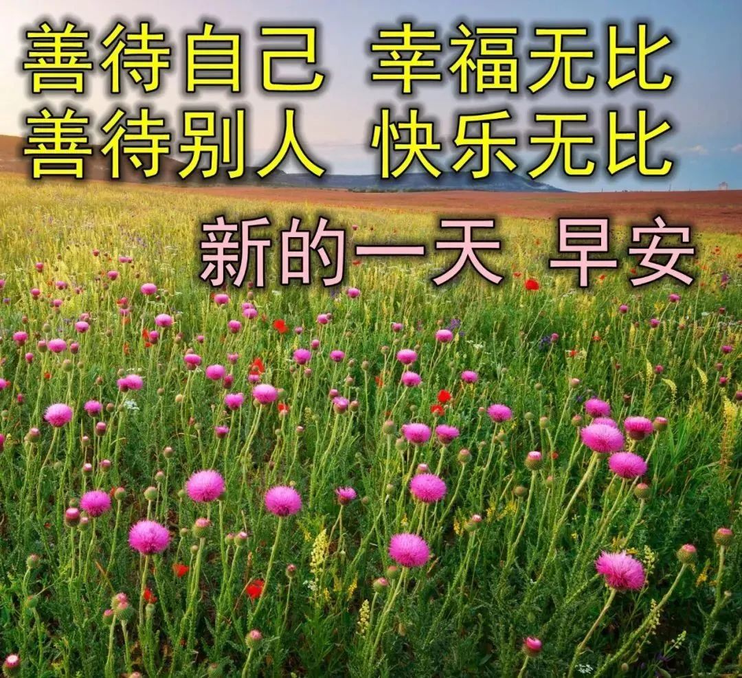 老年人早安图图片