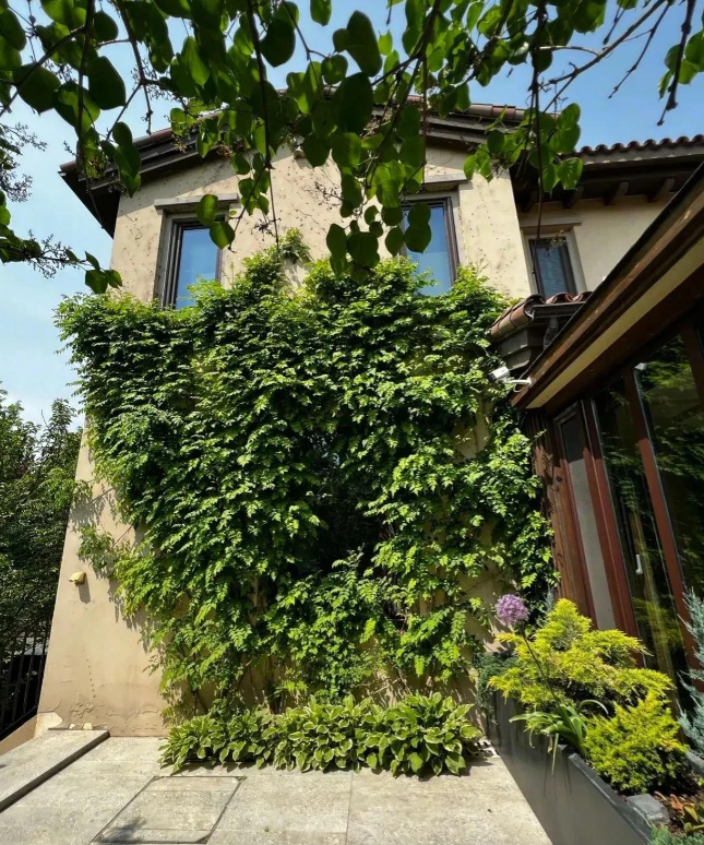 48岁梅婷晒家中豪宅自拍照,疑似怀上第三胎,肚子微凸眼圈发黑