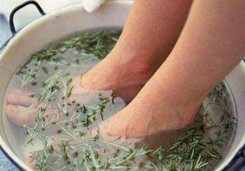 艾叶煮水洗头,收获哪些好处?一个月后,身体会对你"感激不尽"