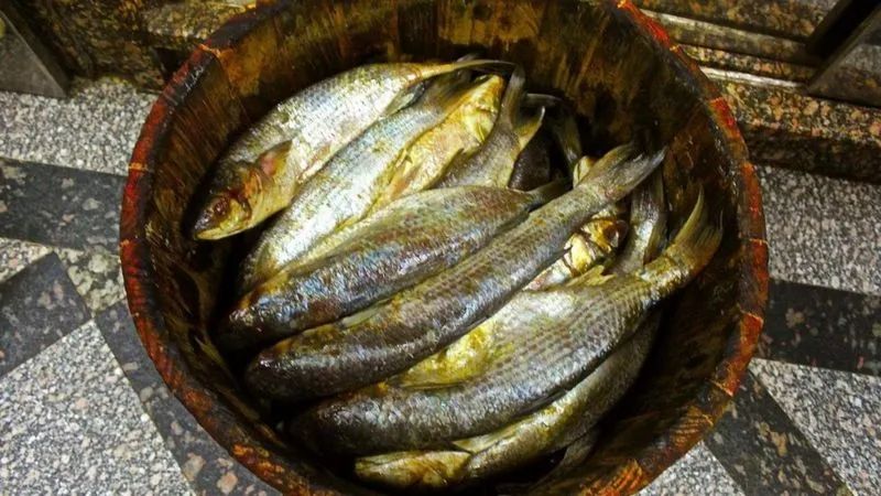 在古代埃及,每年尼罗河都会泛滥一次,当洪水退去时,许多鱼被困浅滩