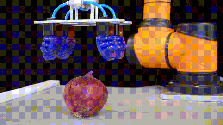srt柔性夹爪助力圆形蔬菜分拣线实现自动化柔性生产