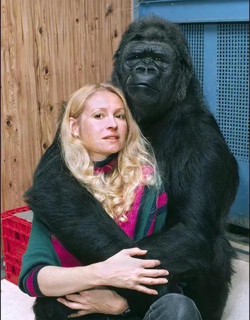 德洛巨猿背后的秘密