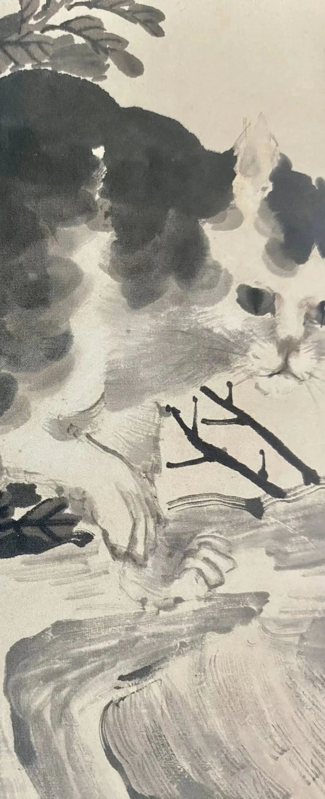 任伯年笔下的猫欣赏