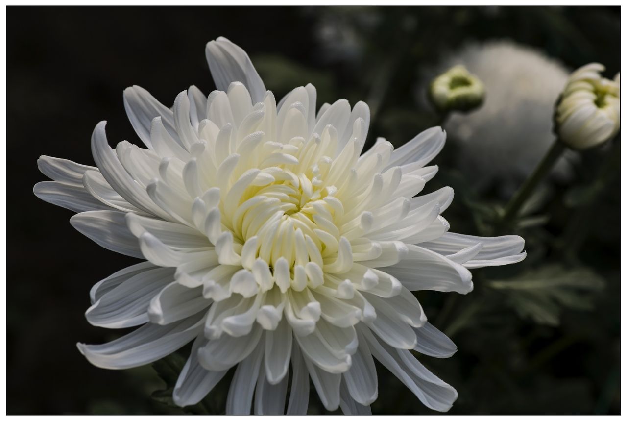 妈妈,您在天堂可好?