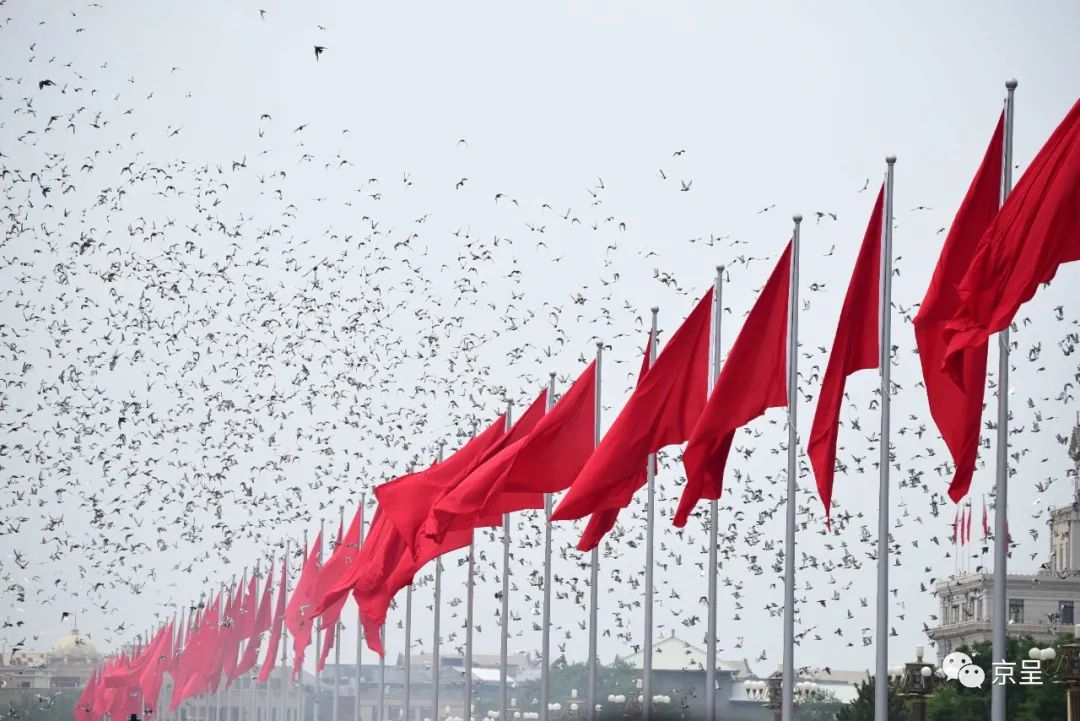 71张高清大图,带你重温庆祝大会上那些激动人心的瞬间