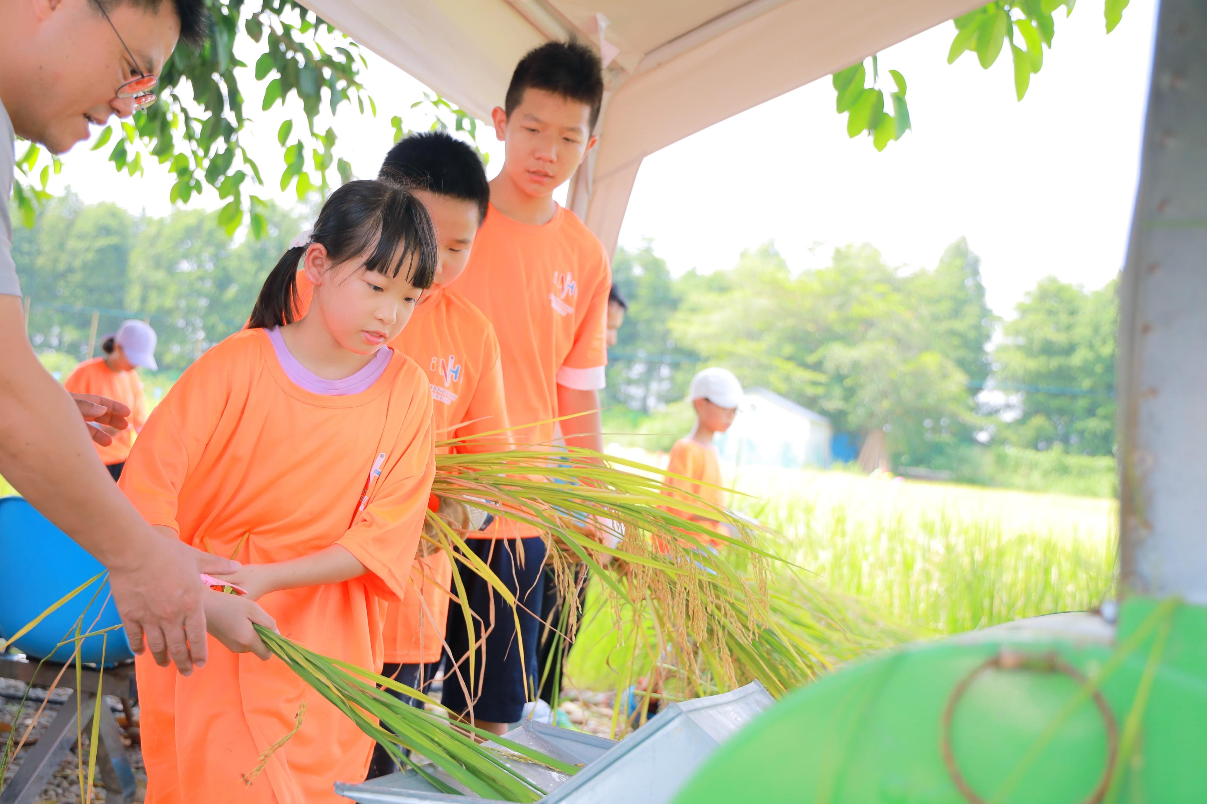 南海青少年争当"小小监督员" 守护农产品质量安全质量
