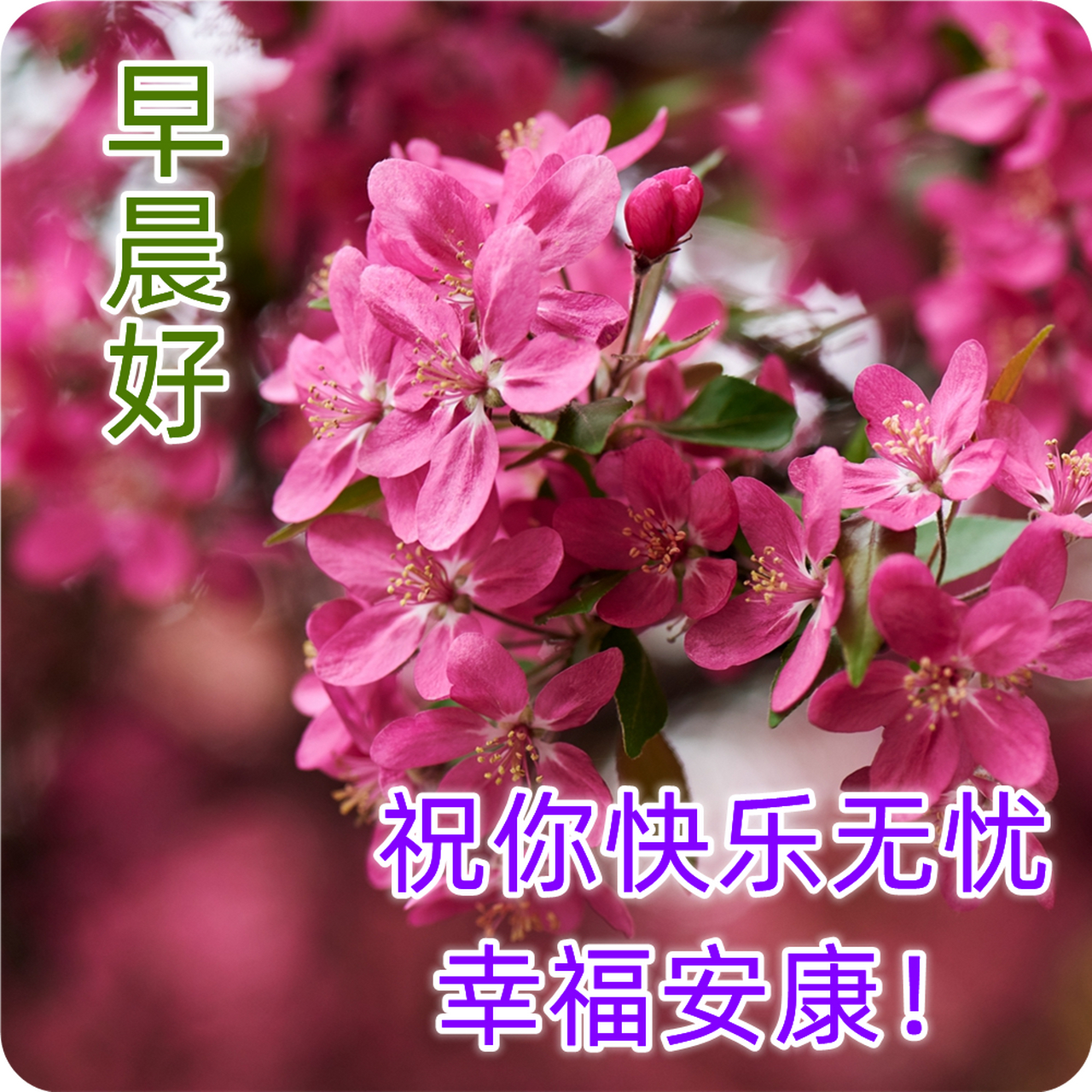 最美清晨早安问候早上好动态图片 最漂亮的早上好图片带文字 有些人