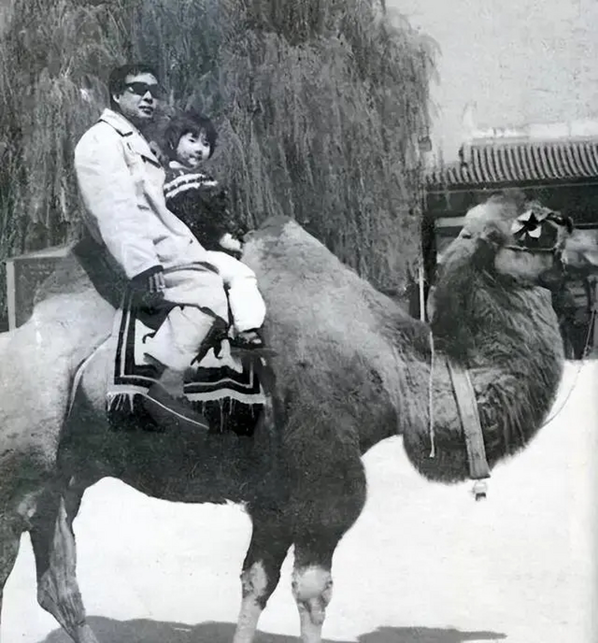 一年后,林红看不上路遥农民的身份,抛弃了他.