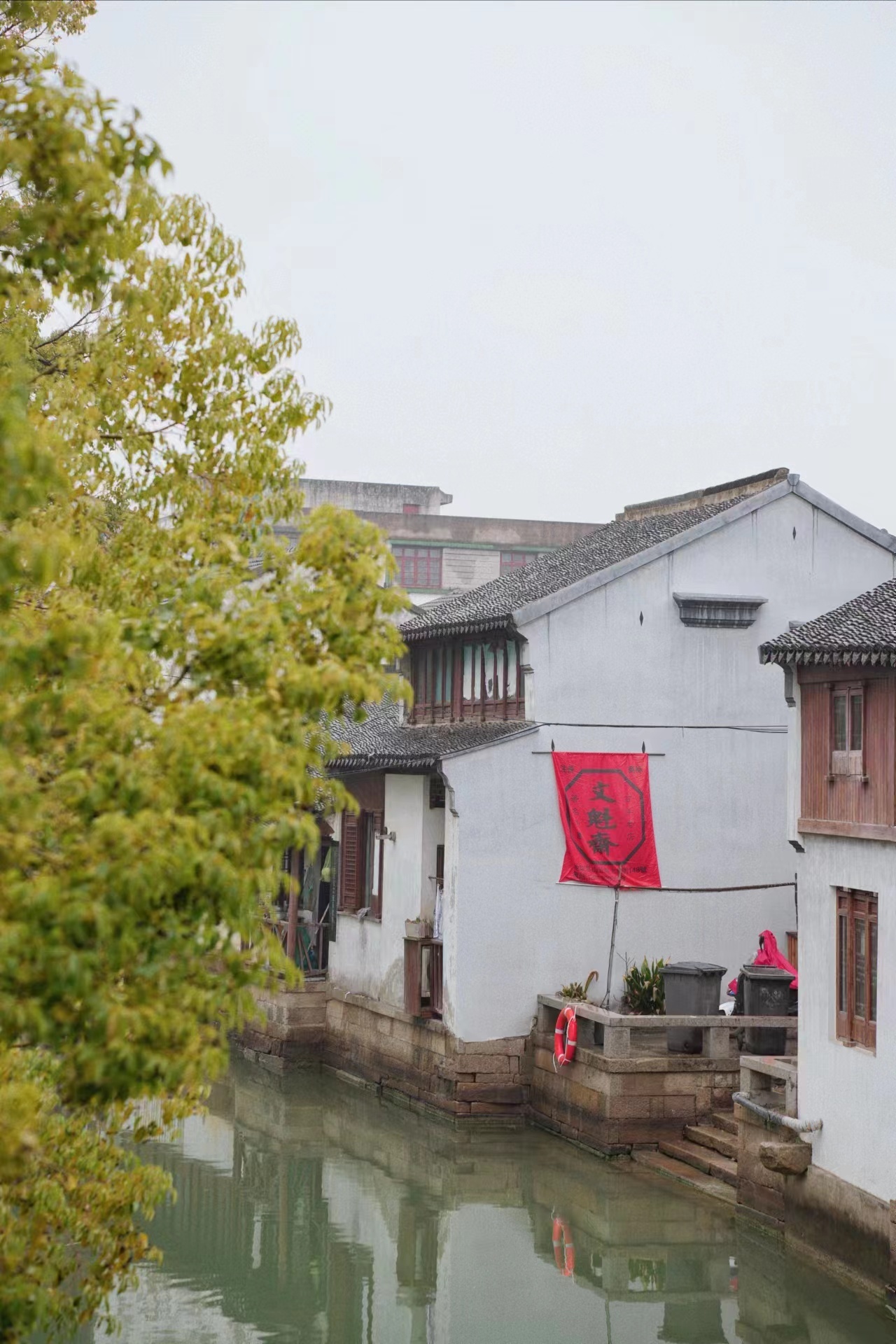总要为了青团,去一趟昆山正仪老街