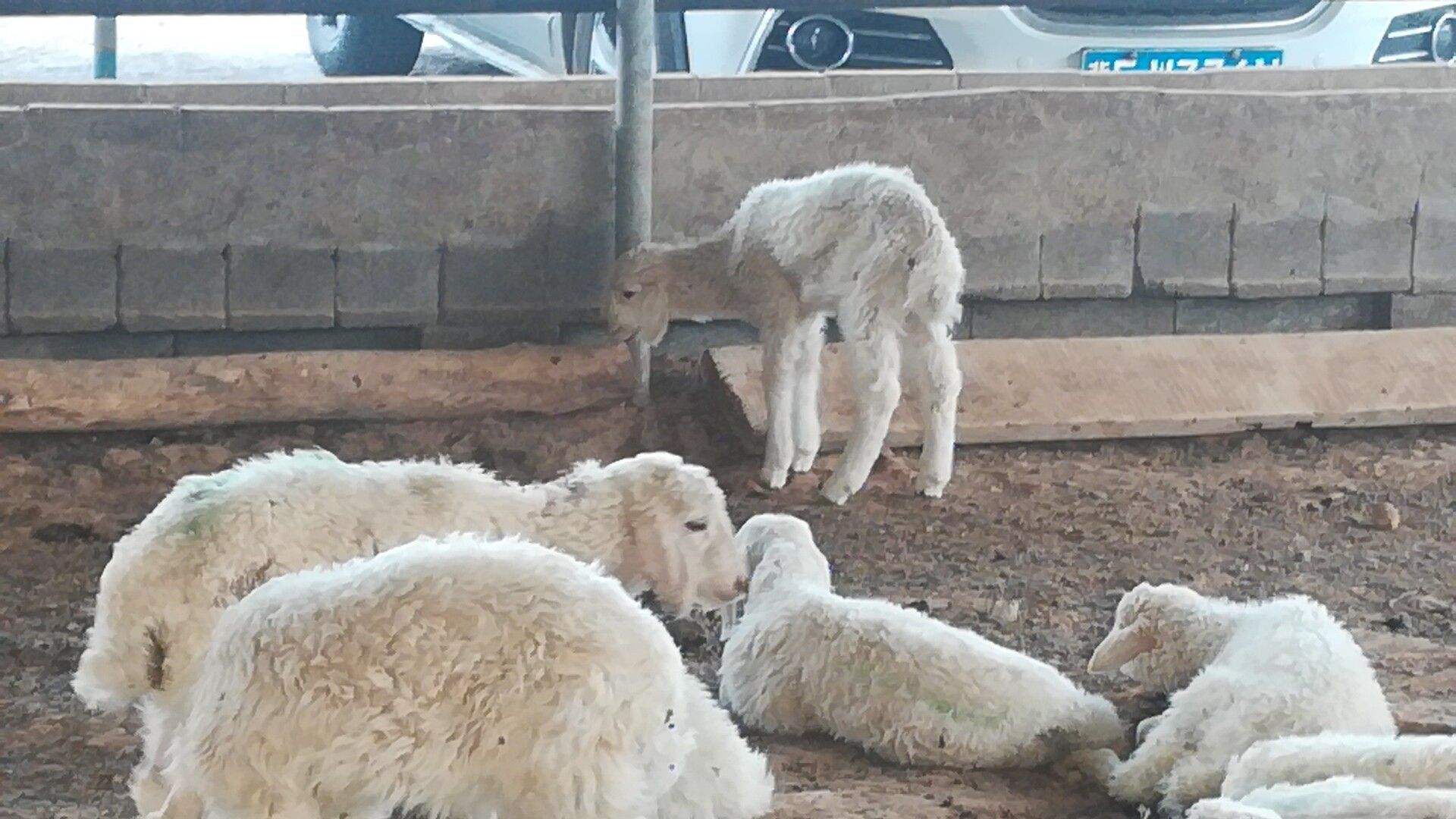 文本帮你轻松解决!