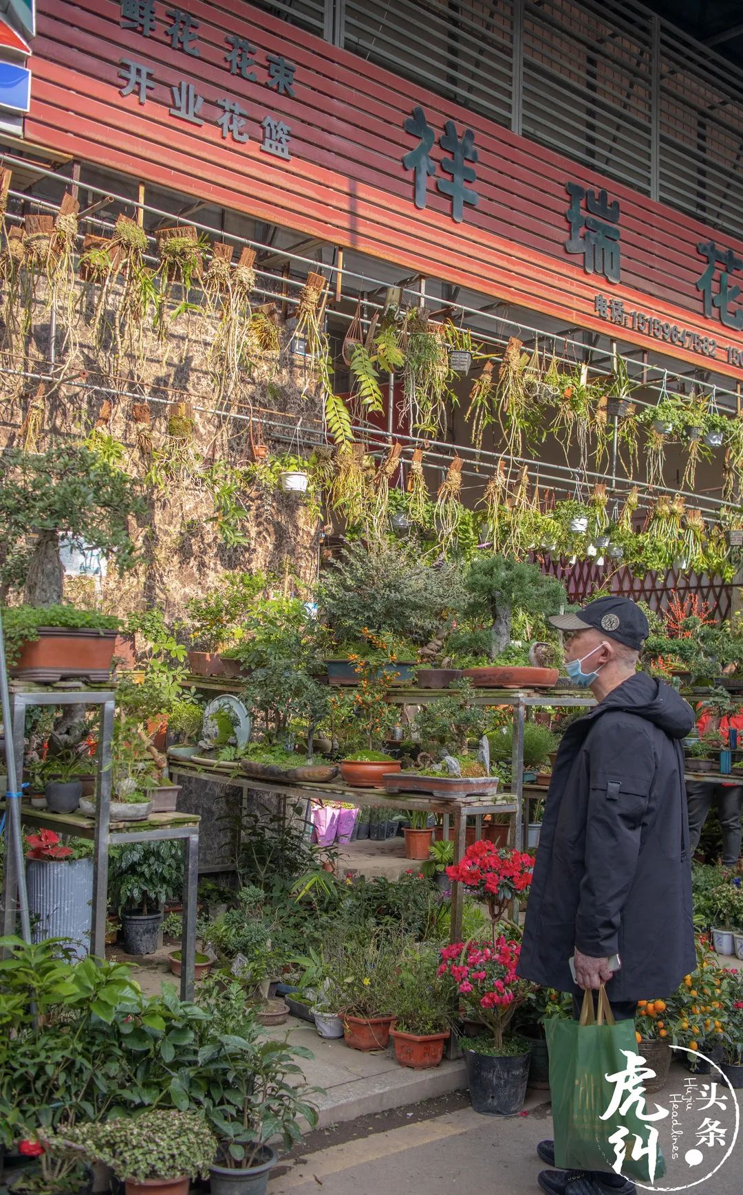 福州花鸟市场图片