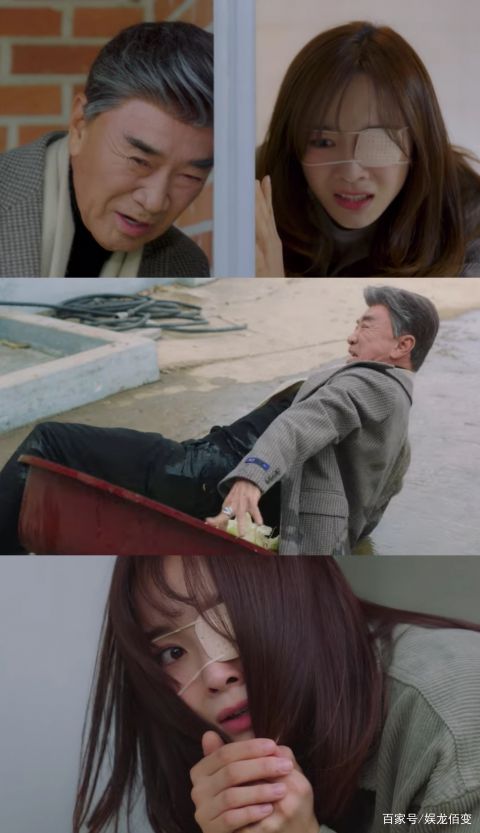 《社内相亲》《正片》在线完整免费观看(完整加长版)【1080P蓝光】中字已更新 - 小轻秀场