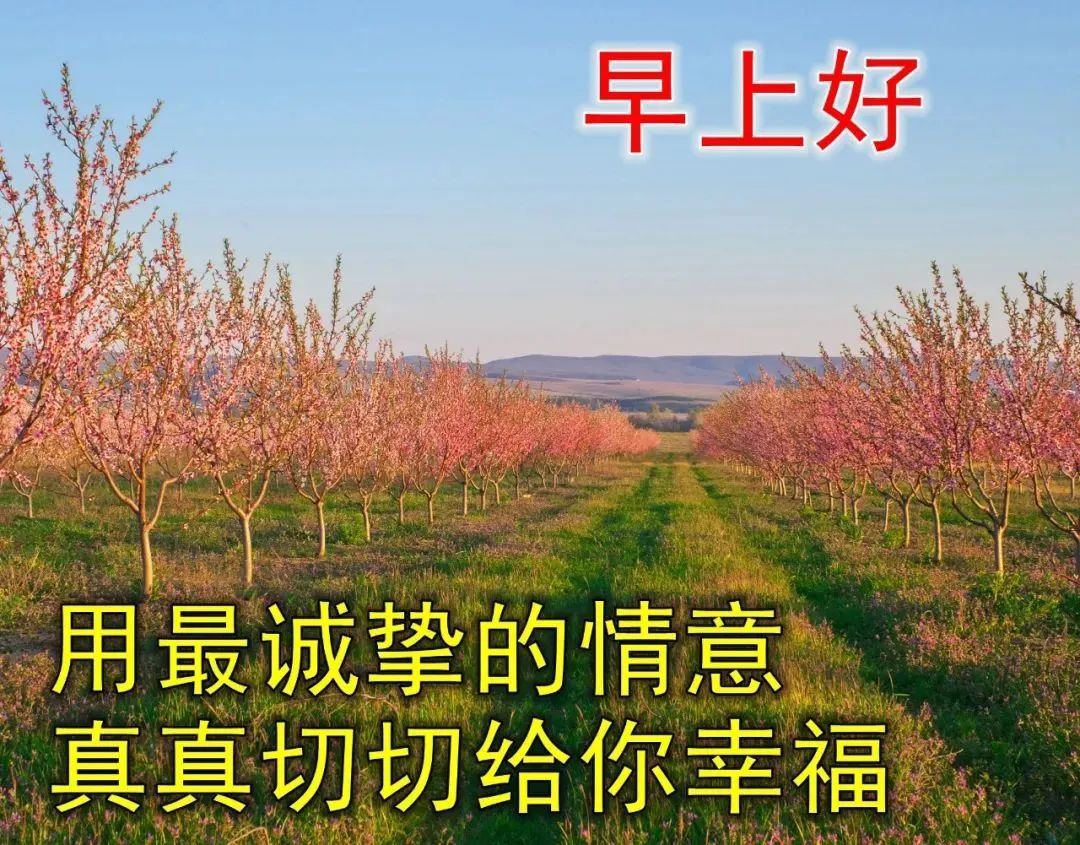 2023全新版的早上好祝福句子 四月早上好问候语图片表情精选