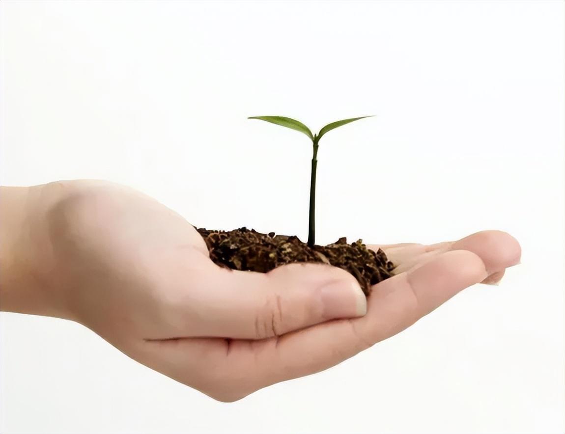 纪实:副市长韩迎新:从保障安居项目中敛财,造豪华车库,判17年