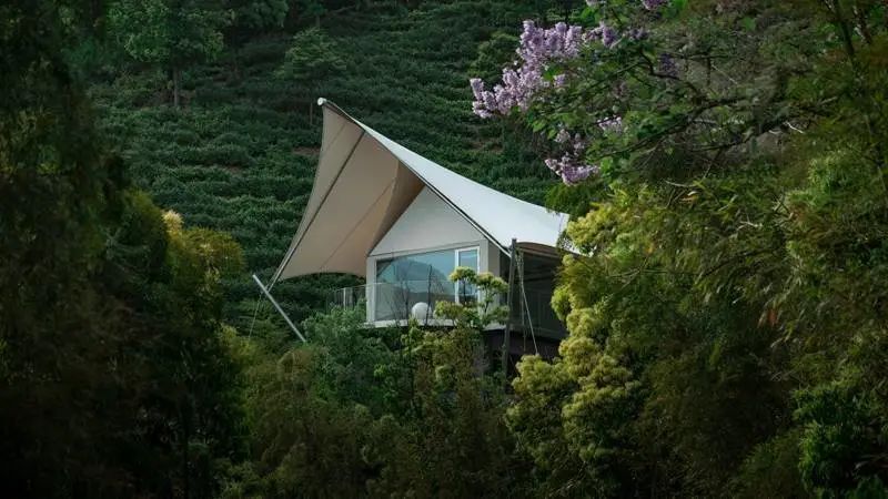 安吉涵田度假村·雲居2天1晚,开门见茶山,推窗眺竹海!