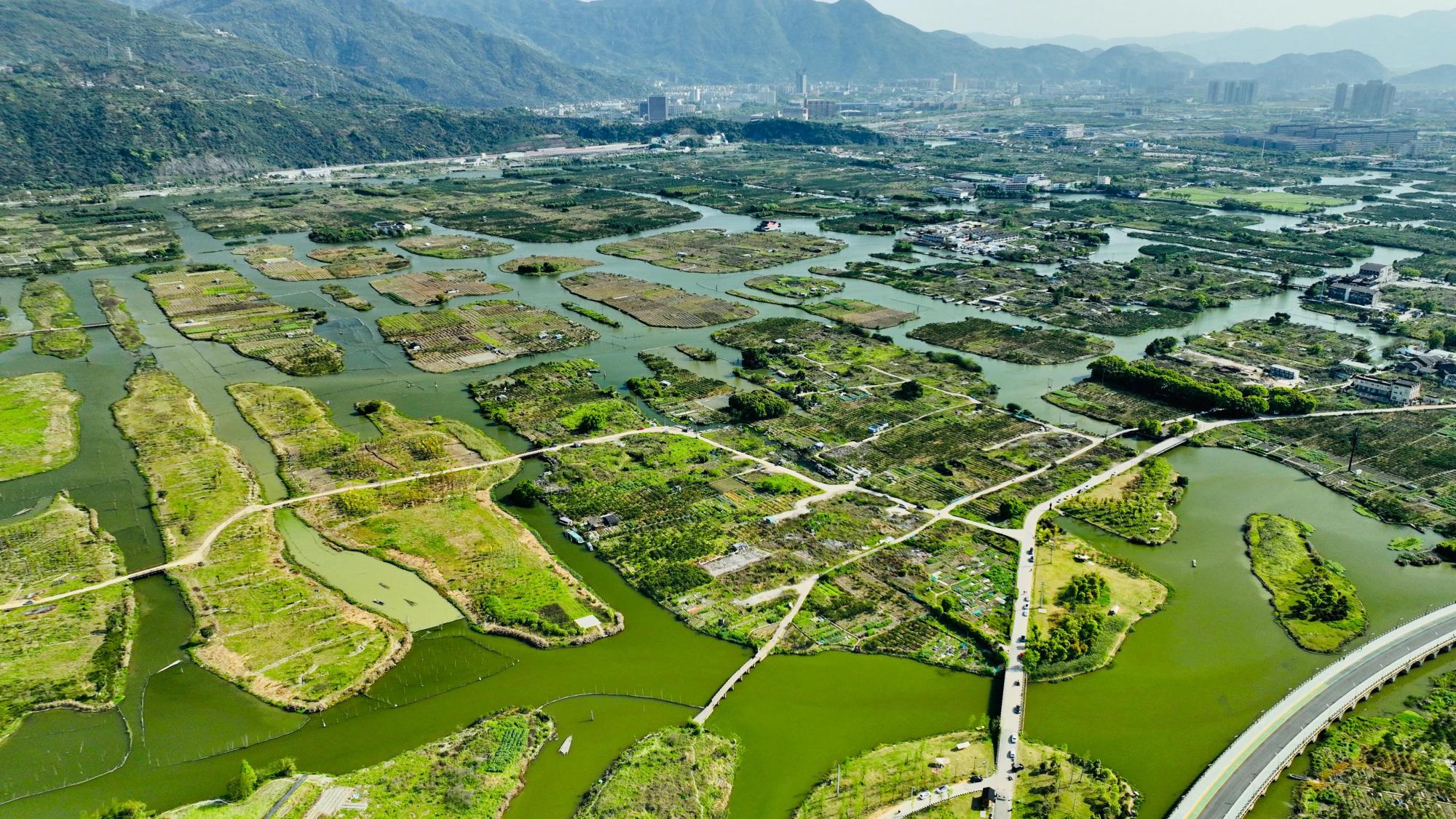 三垟湿地五福源风景图片