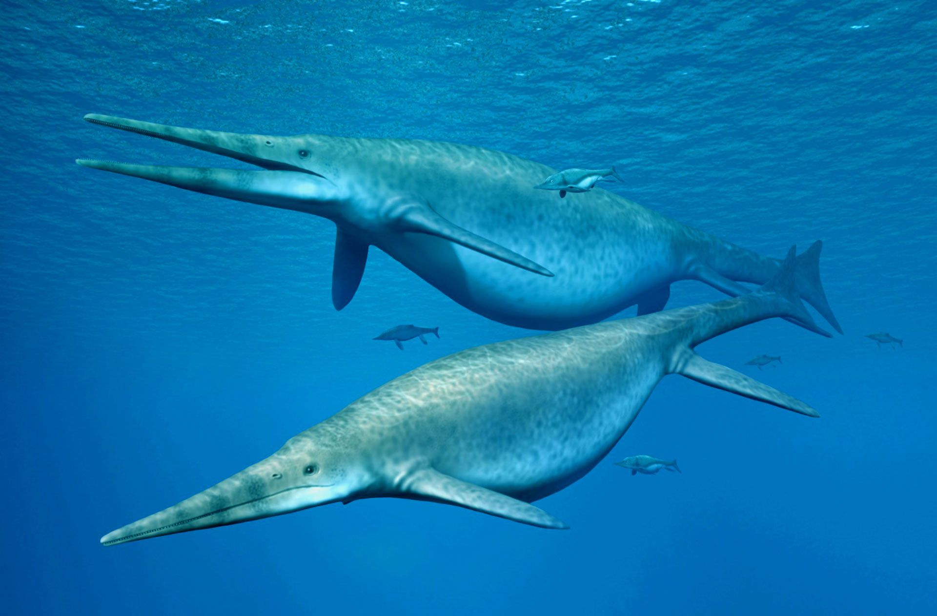 十大史前海洋生物