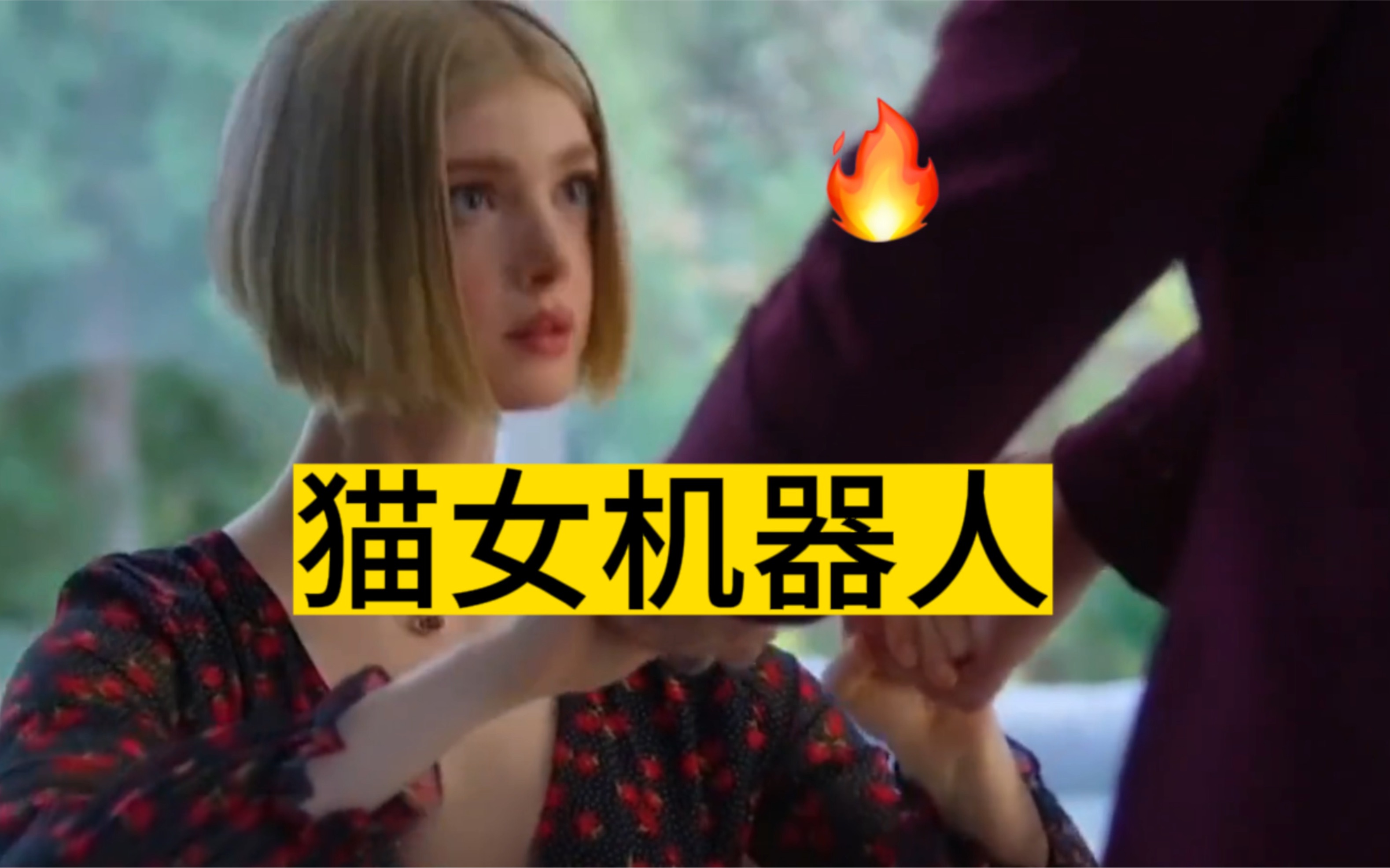 马斯克的猫女承诺引发争议:机器人伴侣能否成为人类未来的现实?