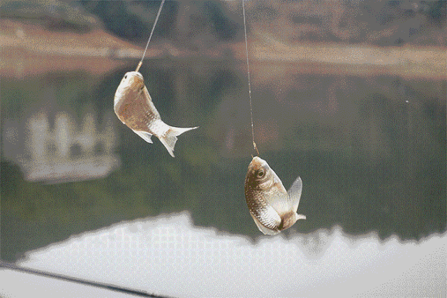 想要小鱼堆里钓大鱼,还得按照这几个套路