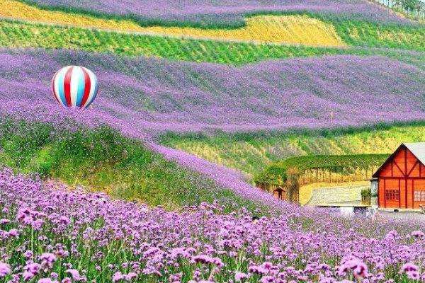 云南大理花海景点介绍