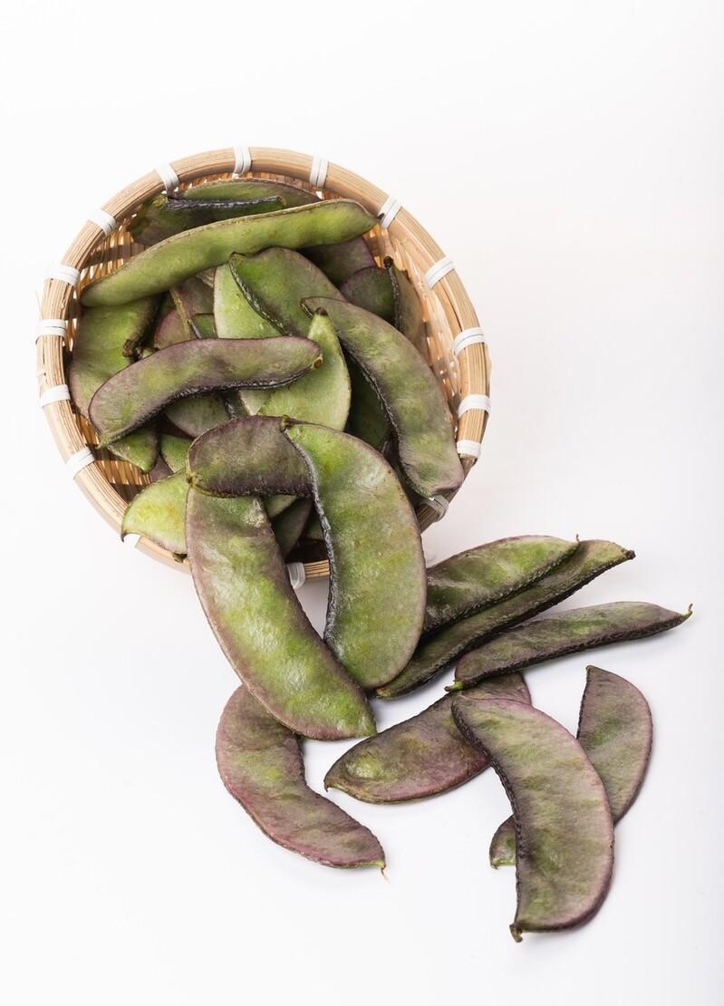 "梅豆",丢进墙角就能长出一堵墙来产量大得吓人,你家还种不?