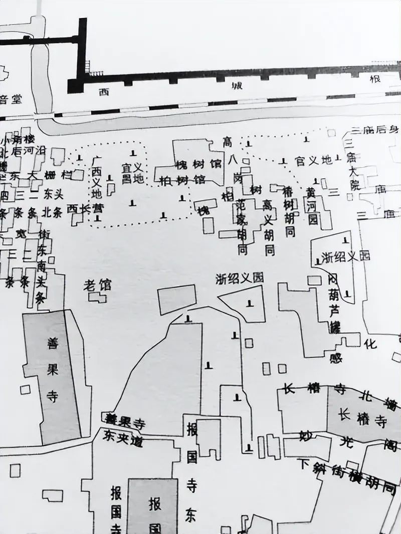 北京有条槐柏树街