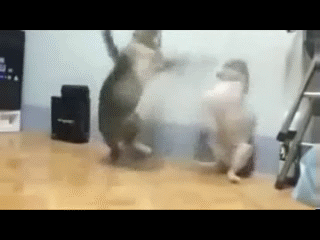 大热,佟大为饰演的爸爸夏君山辅导作业崩溃现场,引得家长们集体爆笑