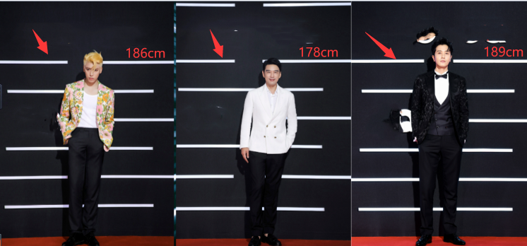 陷入身高内卷的男星们:穿内增高走红毯,踩沙袋拍戏,合影就踮脚