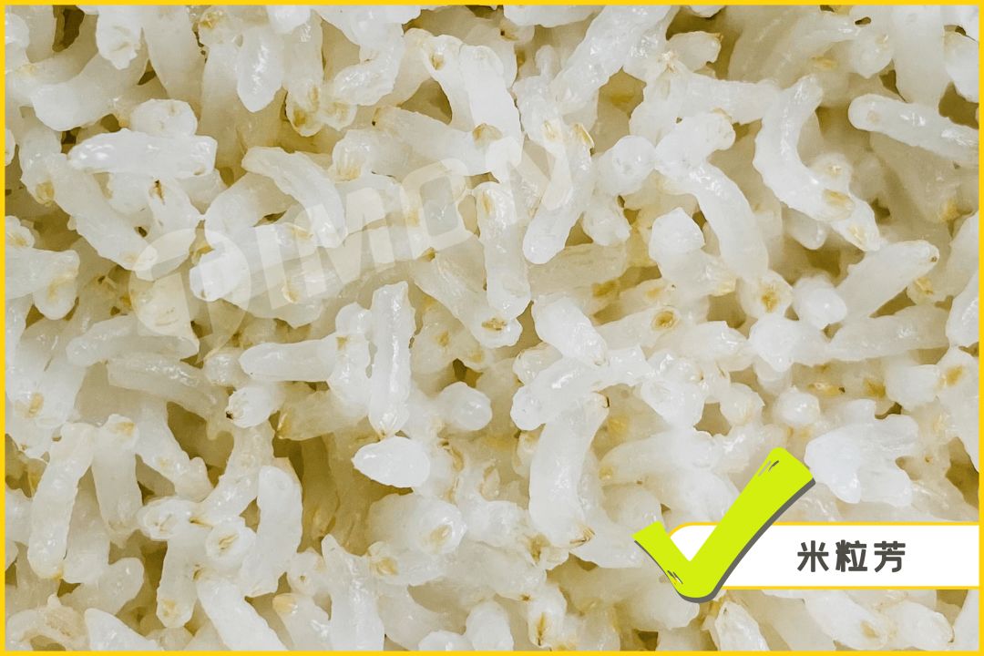 米小芽,秋田满满,原态禾香,稻田村,田喜粮鲜更贴近胚芽米该有的颜色