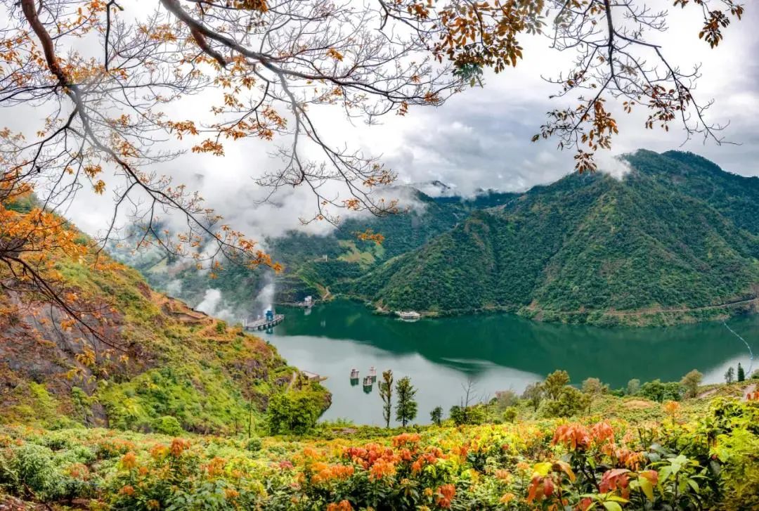 去攀西追阳光|这里,不属于冬天!