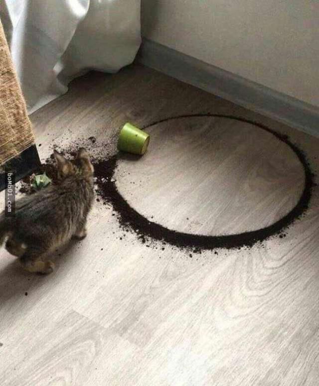 32张治愈强迫症的完美照片,看完感觉极度舒适