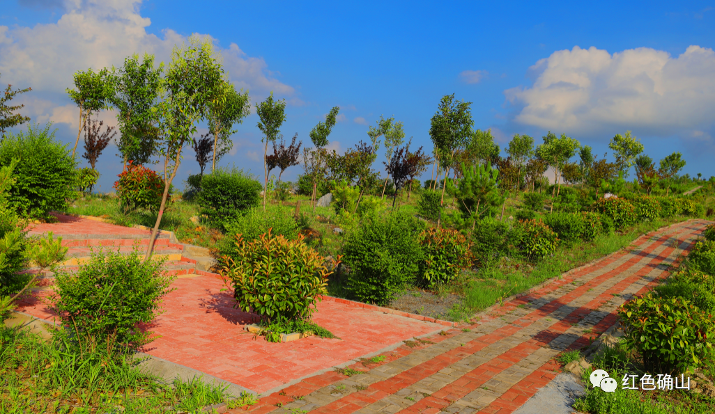 确山县普会寺镇:四大基地擎起富民产业 "绣花"功夫打造绿色矿山