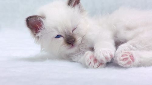 新上小说~《温恒烈绮南重生》全文在线阅读