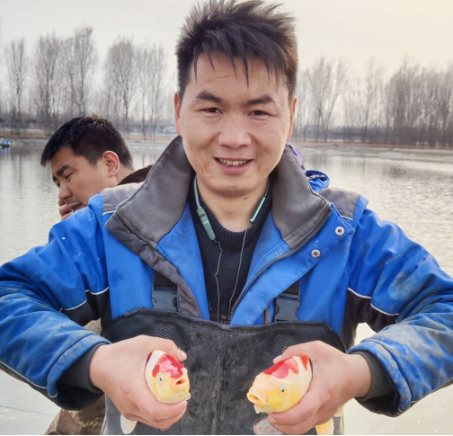 乡镇广角|杜良乡:锦鲤池中游,致富好帮手