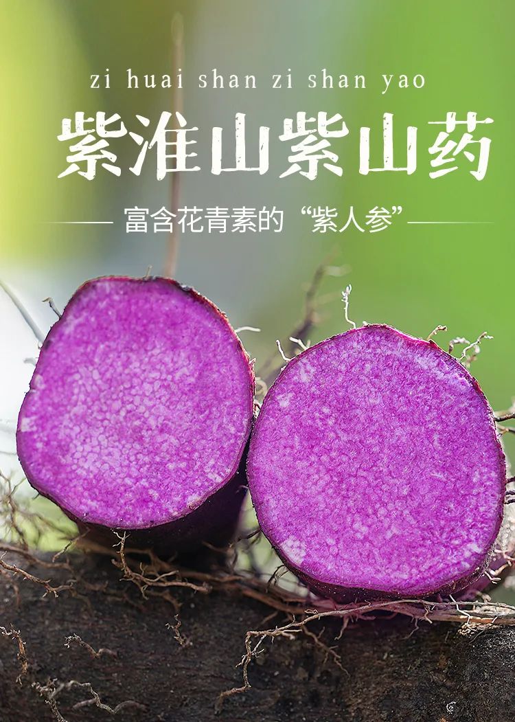 辰颐物语:富含花青素的"紫人参",紫淮山紫山药,秋冬季就吃它