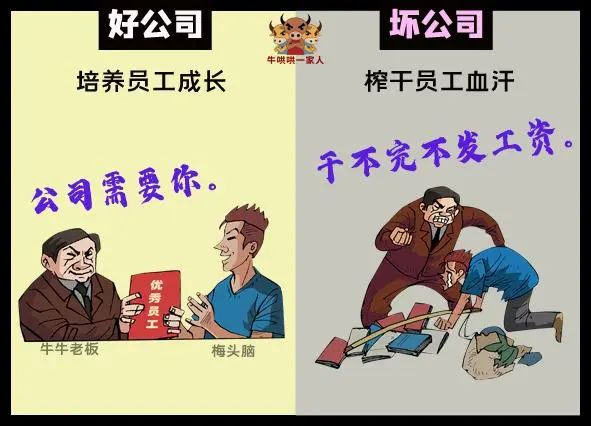 11张图教你区分好公司和坏公司