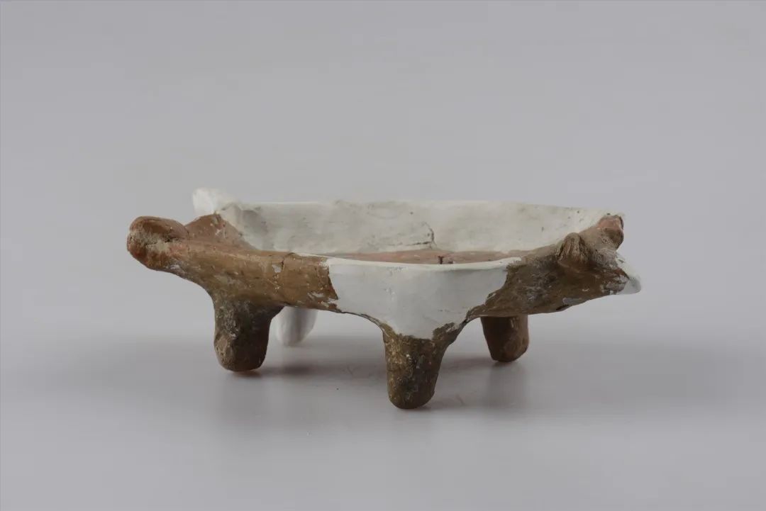 蚌埠双墩文化:7300多年前,"家"住淮河岸边