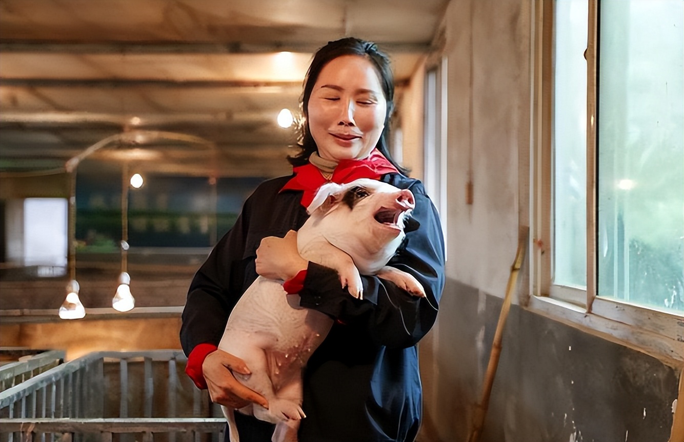 弟弟把结婚彩礼借哥哥养猪,哥哥已成河南首富,弟弟却还是普通人